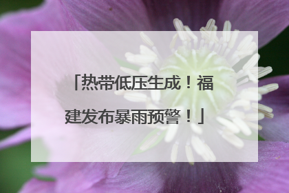 热带低压生成！福建发布暴雨预警！
