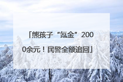 熊孩子“氪金”2000余元！民警全额追回