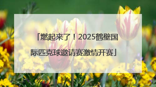 燃起来了！2025鹤壁国际匹克球邀请赛激情开赛