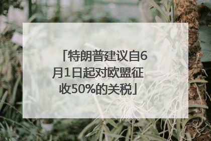 特朗普建议自6月1日起对欧盟征收50%的关税