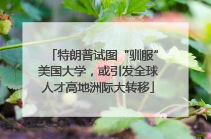 特朗普试图“驯服”美国大学，或引发全球人才高地洲际大转移