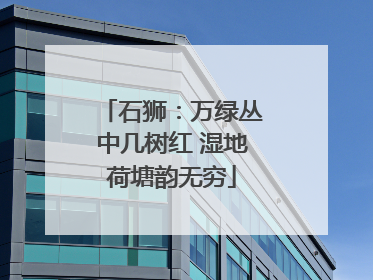 石狮：万绿丛中几树红 湿地荷塘韵无穷