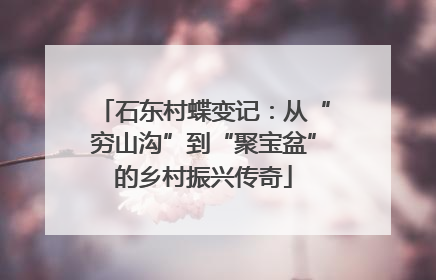 石东村蝶变记：从“穷山沟”到“聚宝盆”的乡村振兴传奇