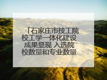 石家庄市技工院校工学一体化建设成果显现 入选院校数量和专业数量全省第一