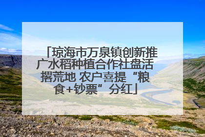 琼海市万泉镇创新推广水稻种植合作社盘活撂荒地 农户喜提“粮食+钞票”分红
