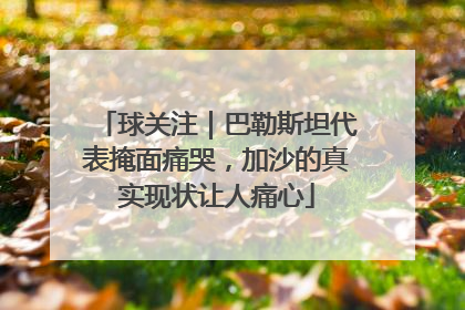 球关注｜巴勒斯坦代表掩面痛哭，加沙的真实现状让人痛心