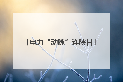 电力“动脉”连陕甘
