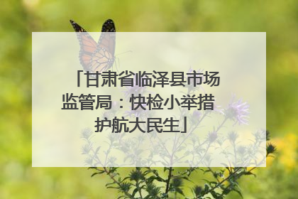 甘肃省临泽县市场监管局：快检小举措 护航大民生