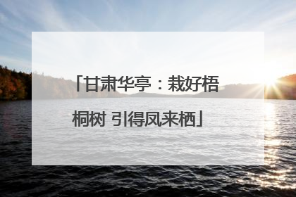 甘肃华亭：栽好梧桐树 引得凤来栖
