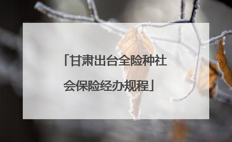 甘肃出台全险种社会保险经办规程