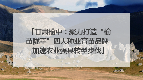 甘肃榆中：聚力打造“榆苗陇萃”四大种业育苗品牌 加速农业强县转型步伐