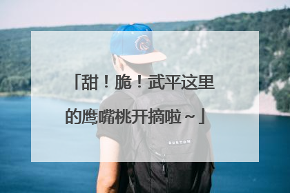甜！脆！武平这里的鹰嘴桃开摘啦～