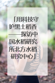 用科技守护黑土稻香——探访中国水稻研究所北方水稻研究中心