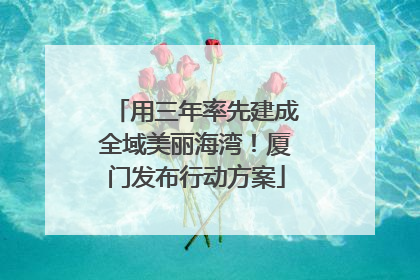 用三年率先建成全域美丽海湾！厦门发布行动方案