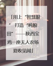 用上“智慧眼” 打造“吨粮田”——陕西宝鸡一座无人农场夏收见闻