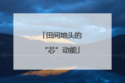 田间地头的“芯”动能