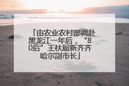 由农业农村部调赴黑龙江一年后，“80后”王杕履新齐齐哈尔副市长