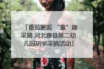 番茄邂逅 “童”趣采摘 河北唐县第二幼儿园研学采摘活动