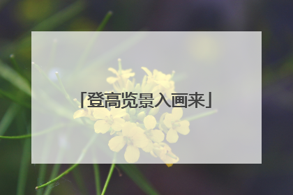 登高览景入画来
