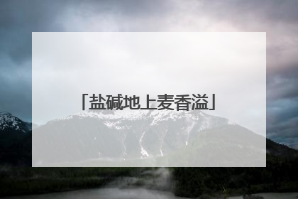 盐碱地上麦香溢