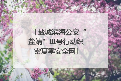 盐城滨海公安“盐靖”Ⅲ号行动织密夏季安全网