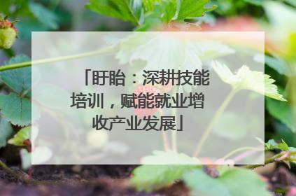 盱眙：深耕技能培训，赋能就业增收产业发展