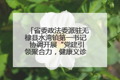 省委政法委派驻无棣县水湾镇第一书记 协调开展“党建引领聚合力，健康义诊惠乡亲”义诊活动