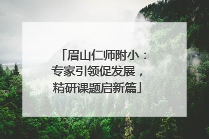 眉山仁师附小：专家引领促发展，精研课题启新篇