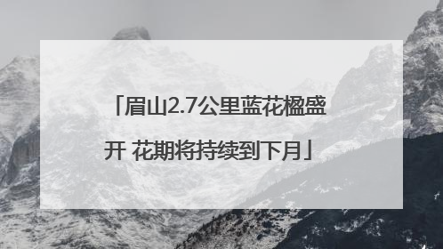 眉山2.7公里蓝花楹盛开 花期将持续到下月