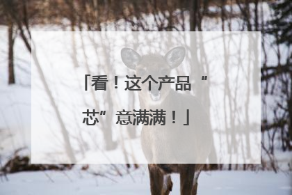 看！这个产品“芯”意满满！