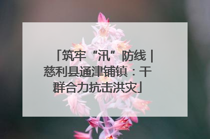 筑牢“汛”防线｜慈利县通津铺镇：干群合力抗击洪灾