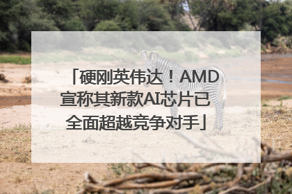 硬刚英伟达！AMD宣称其新款AI芯片已全面超越竞争对手