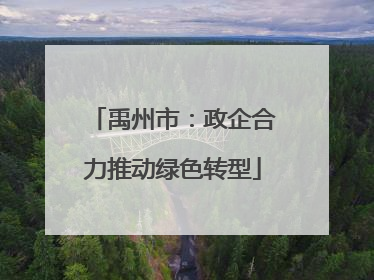 禹州市：政企合力推动绿色转型