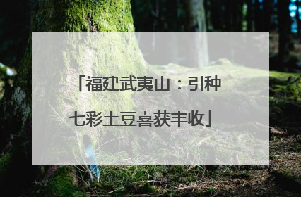 福建武夷山：引种七彩土豆喜获丰收