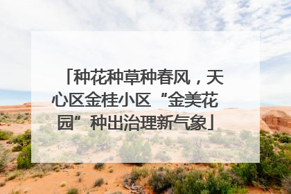 种花种草种春风，天心区金桂小区“金美花园”种出治理新气象