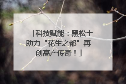 科技赋能：黑松土助力“花生之都”再创高产传奇！