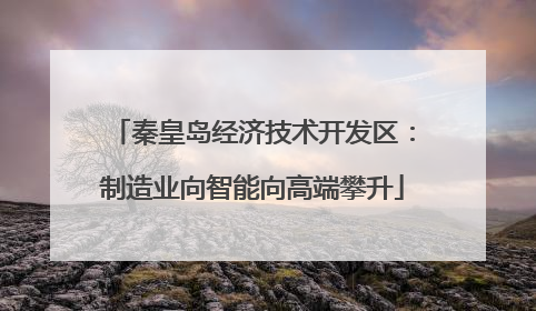 秦皇岛经济技术开发区：制造业向智能向高端攀升