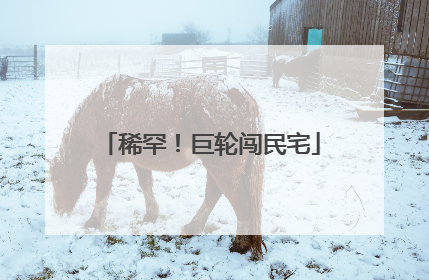 稀罕！巨轮闯民宅