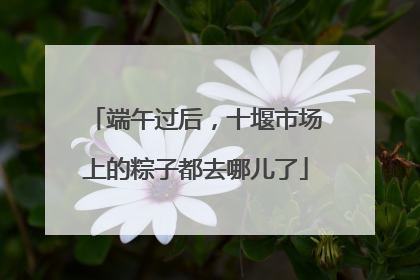 端午过后，十堰市场上的粽子都去哪儿了