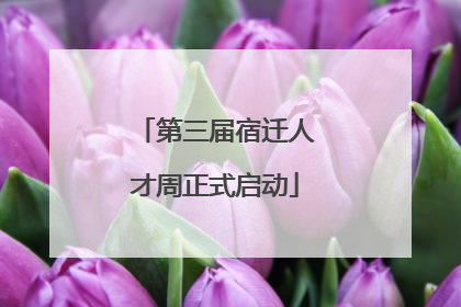第三届宿迁人才周正式启动