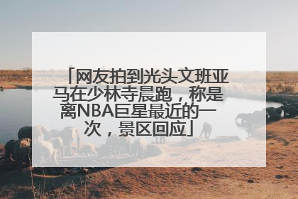 网友拍到光头文班亚马在少林寺晨跑，称是离NBA巨星最近的一次，景区回应