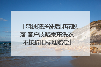 羽绒服送洗后印花脱落 客户质疑京东洗衣不按折旧标准赔偿