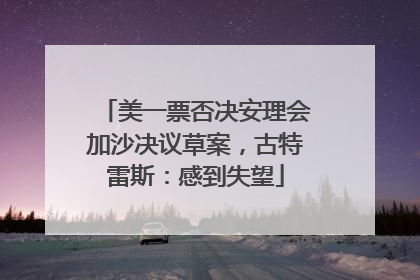 美一票否决安理会加沙决议草案，古特雷斯：感到失望