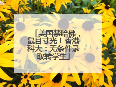 美国禁哈佛，鼠目寸光！香港科大：无条件录取转学生