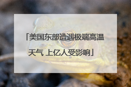 美国东部遭遇极端高温天气 上亿人受影响
