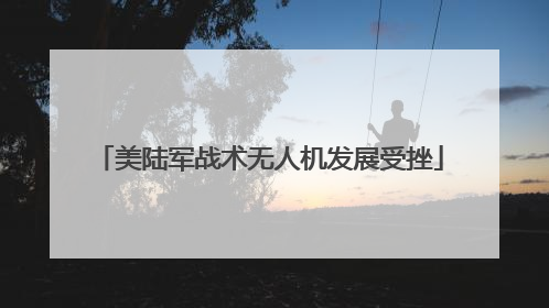 美陆军战术无人机发展受挫
