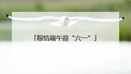 粽情端午迎“六一”