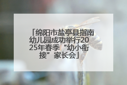 绵阳市盐亭县指南幼儿园成功举行2025年春季“幼小衔接”家长会