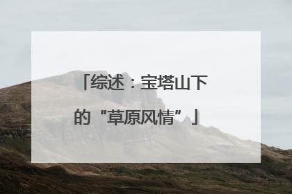 综述：宝塔山下的“草原风情”