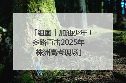 组图丨加油少年！多路直击2025年株洲高考现场